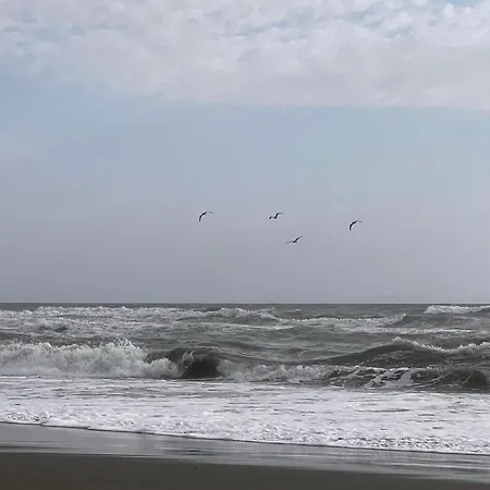 Villa White Baks-Rrjoll