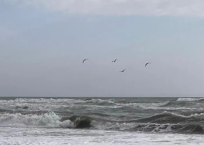 Villa White Baks-Rrjoll